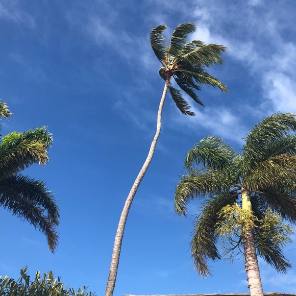 Meet your Posher, La - Picture 1 of 1